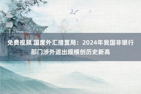免费视频 国度外汇措置局：2024年我国非银行部门涉外进出规模创历史新高