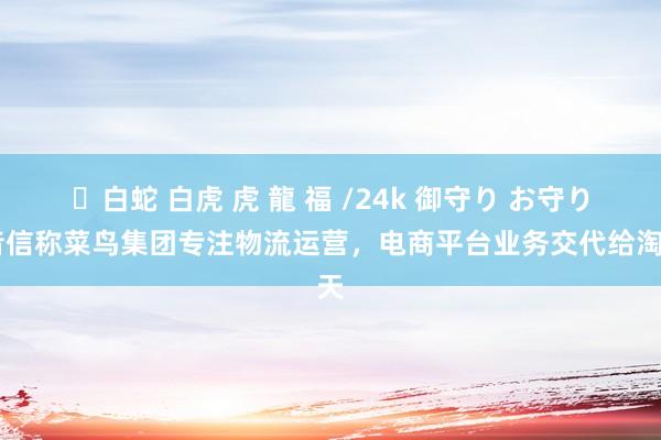 ✨白蛇 白虎 虎 龍 福 /24k 御守り お守り 音信称菜鸟集团专注物流运营，电商平台业务交代给淘天