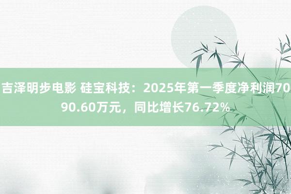 吉泽明步电影 硅宝科技：2025年第一季度净利润7090.60万元，同比增长76.72%